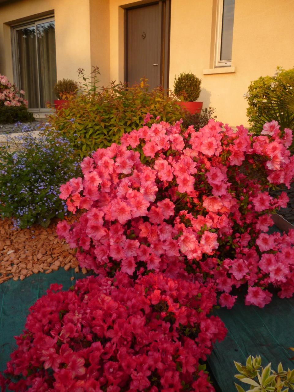 Chez Bernard Et Nicole Bed & Breakfast Betton ภายนอก รูปภาพ
